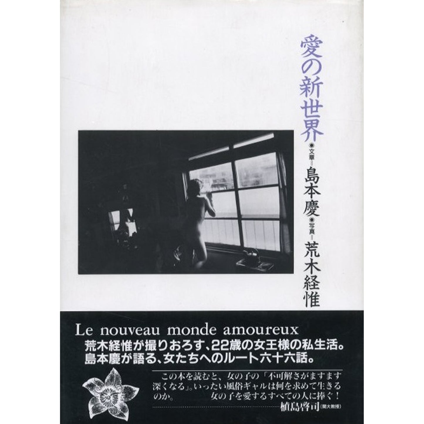 愛の新世界