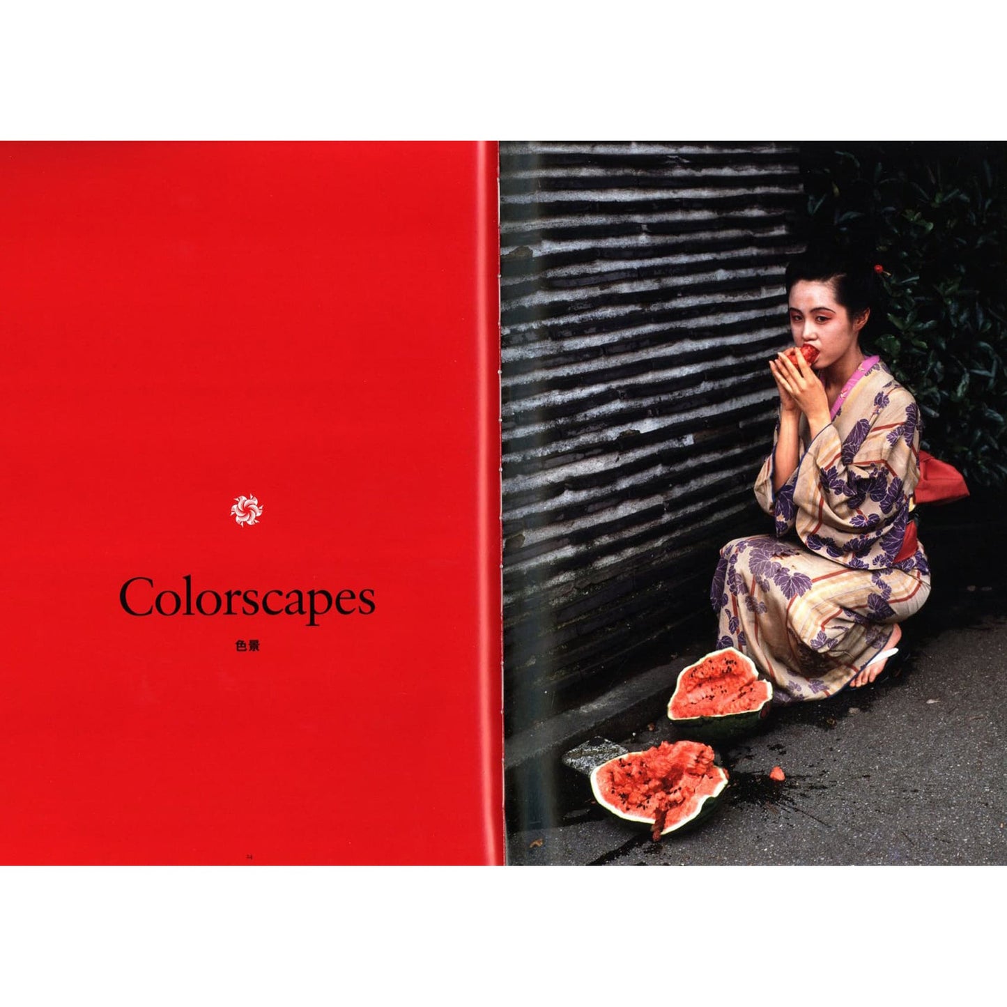 ARAKI Taschen 25th Anniversary Series