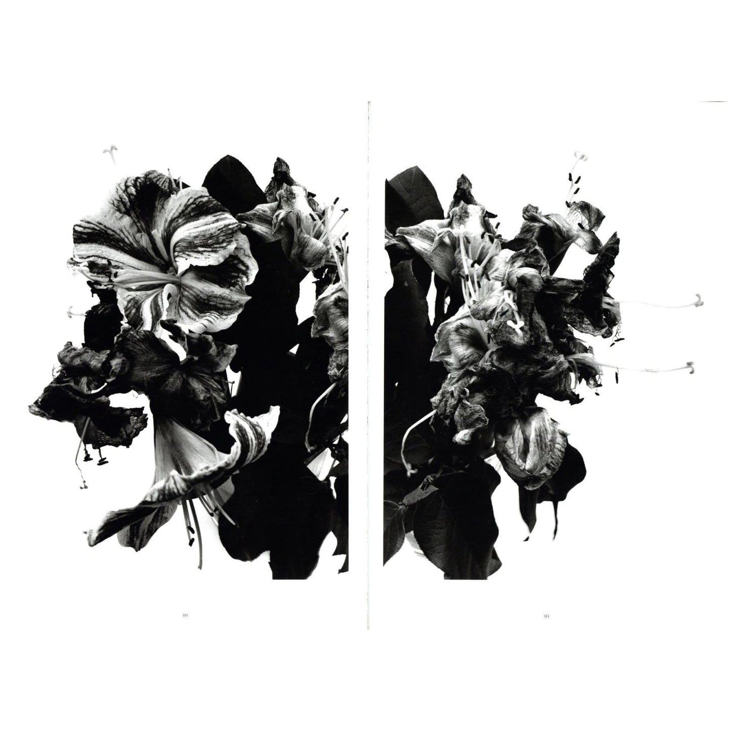 ARAKI Taschen 25th Anniversary Series