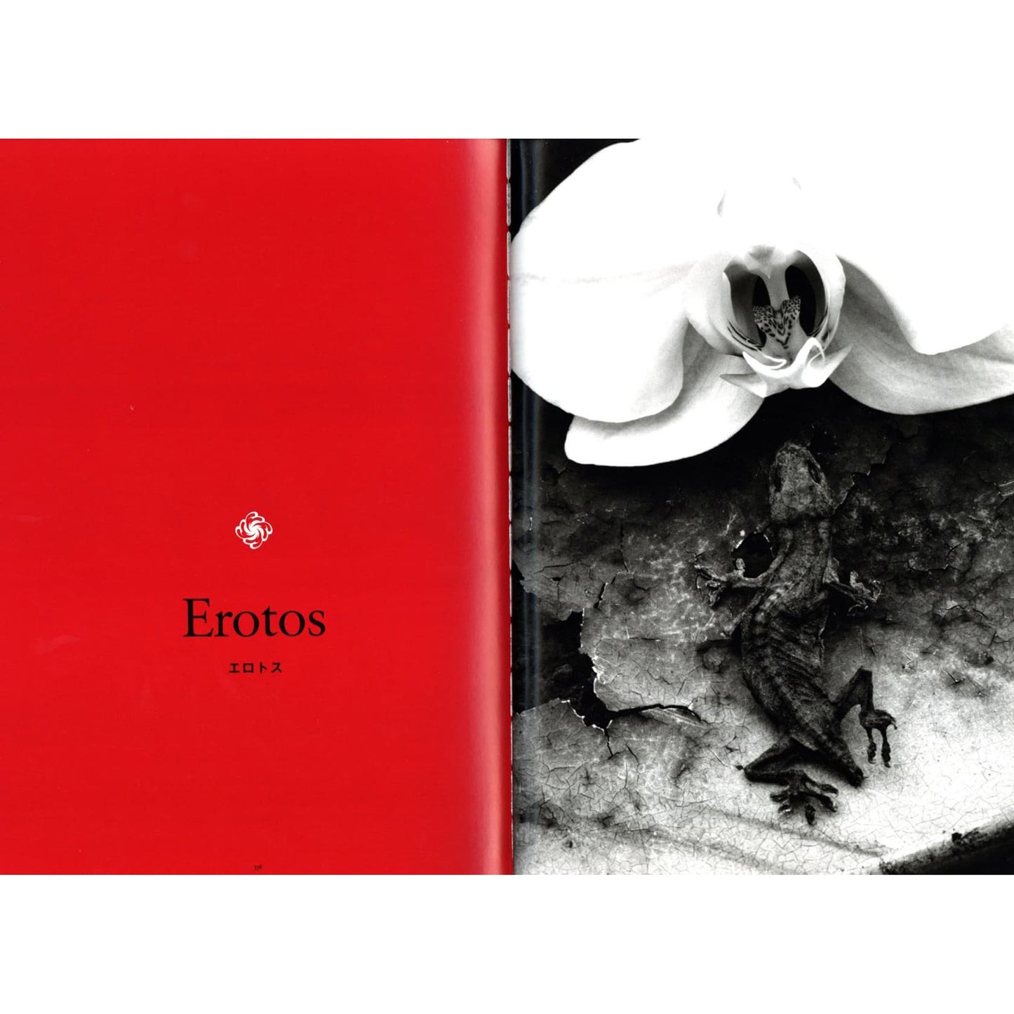 ARAKI Taschen 25th Anniversary Series