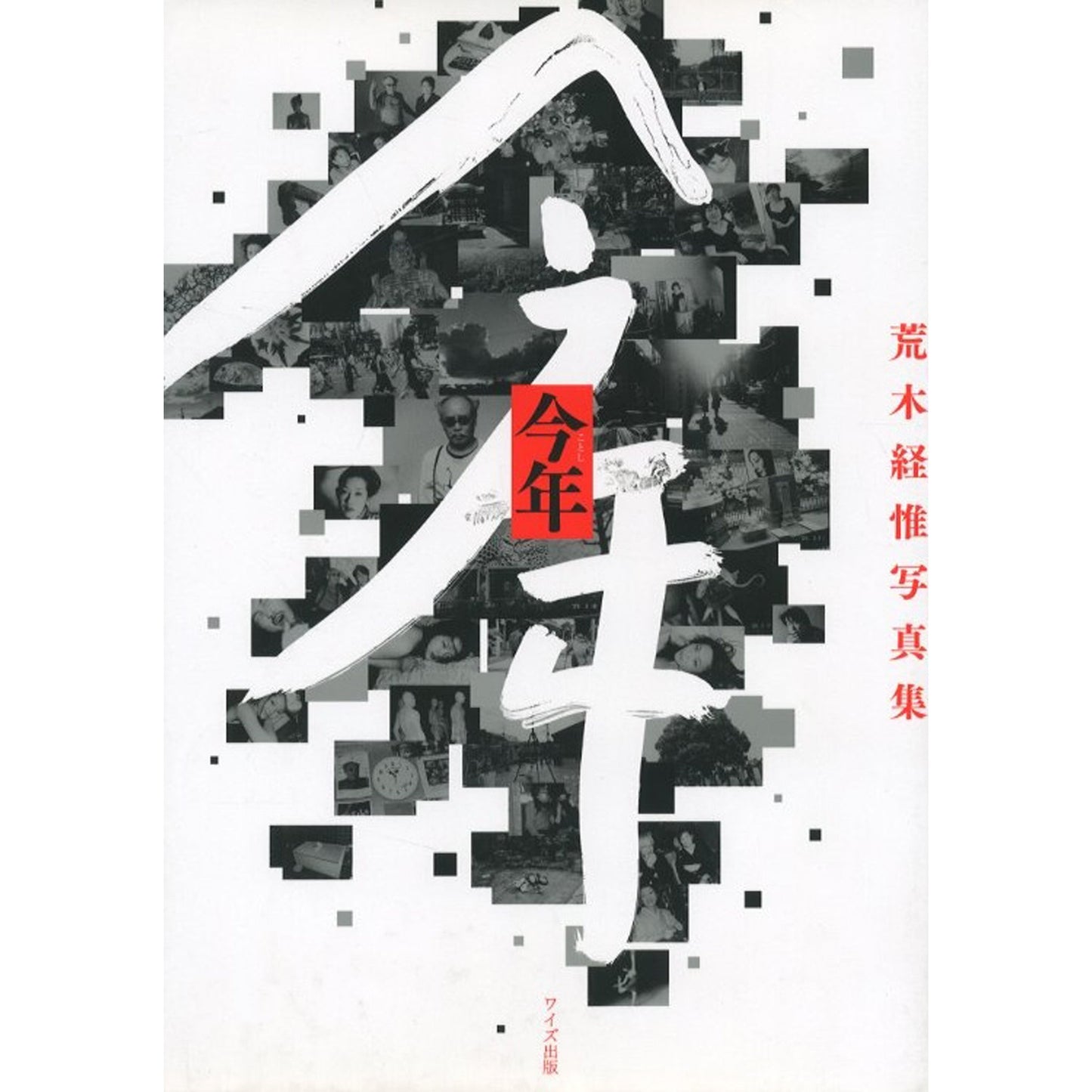 今年