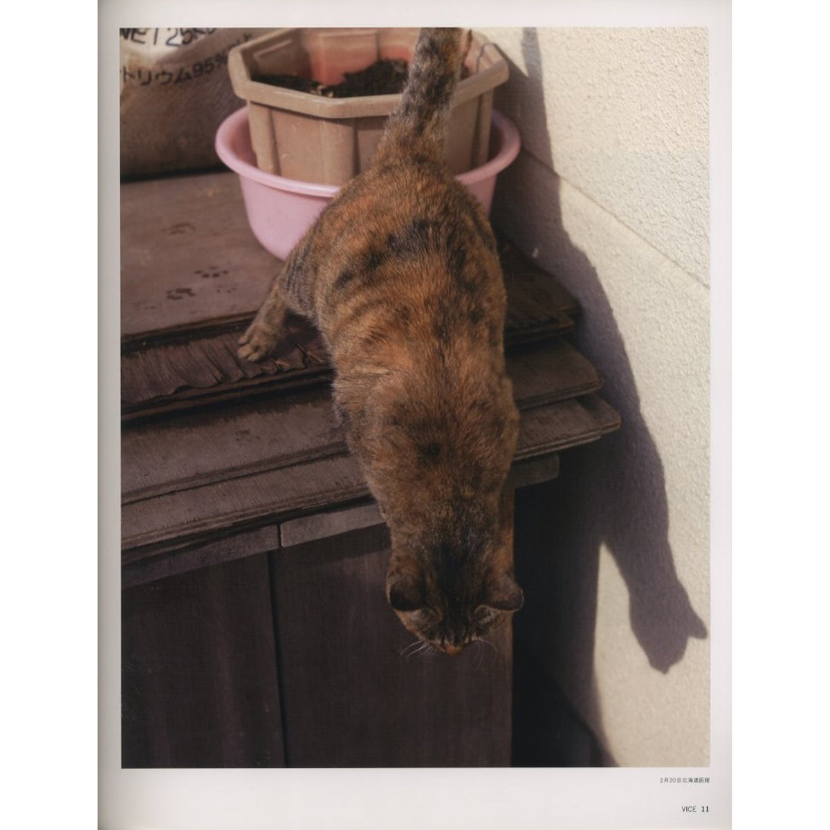 VICE MAGAZINE THE PHOTO ISSUE JAPAN EDITION