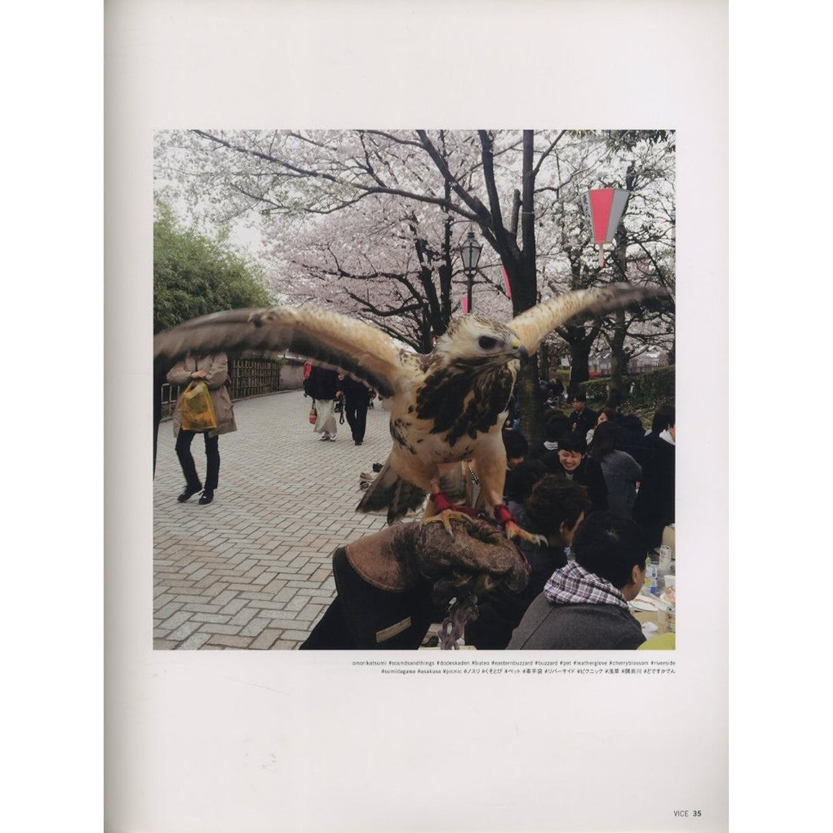 VICE MAGAZINE THE PHOTO ISSUE JAPAN EDITION