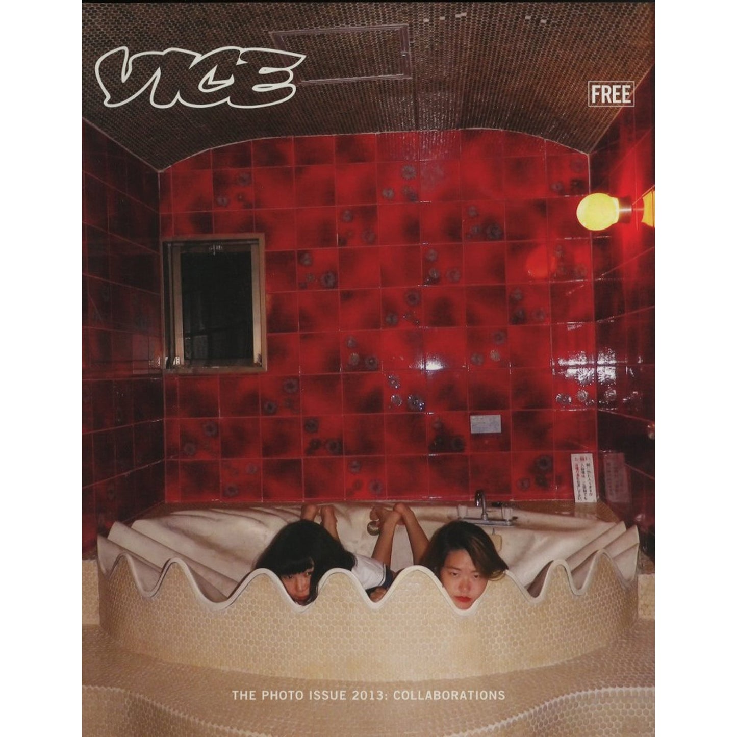 VICE MAGAZINE THE PHOTO ISSUE 2013: COLLABORATIONS