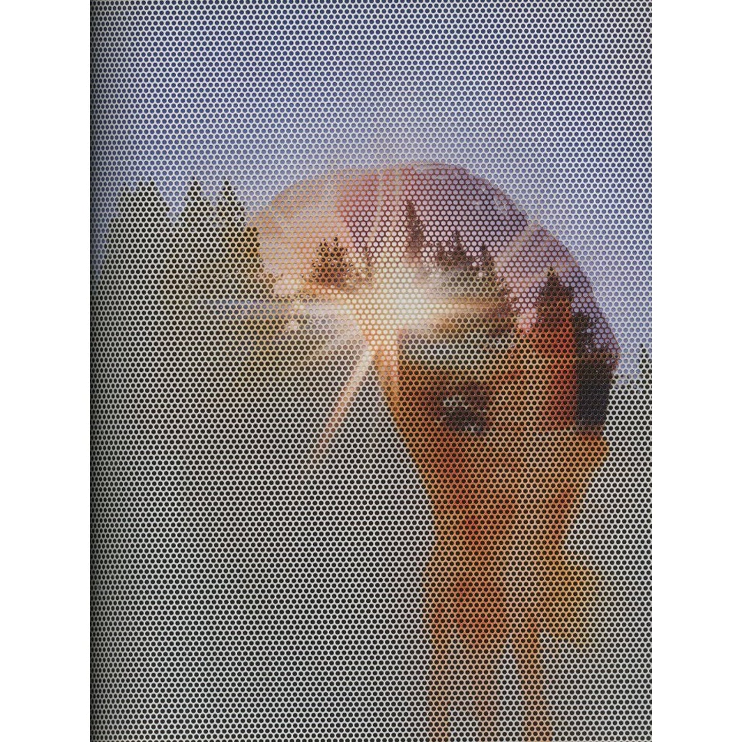 VICE MAGAZINE THE PHOTO ISSUE 2013: COLLABORATIONS