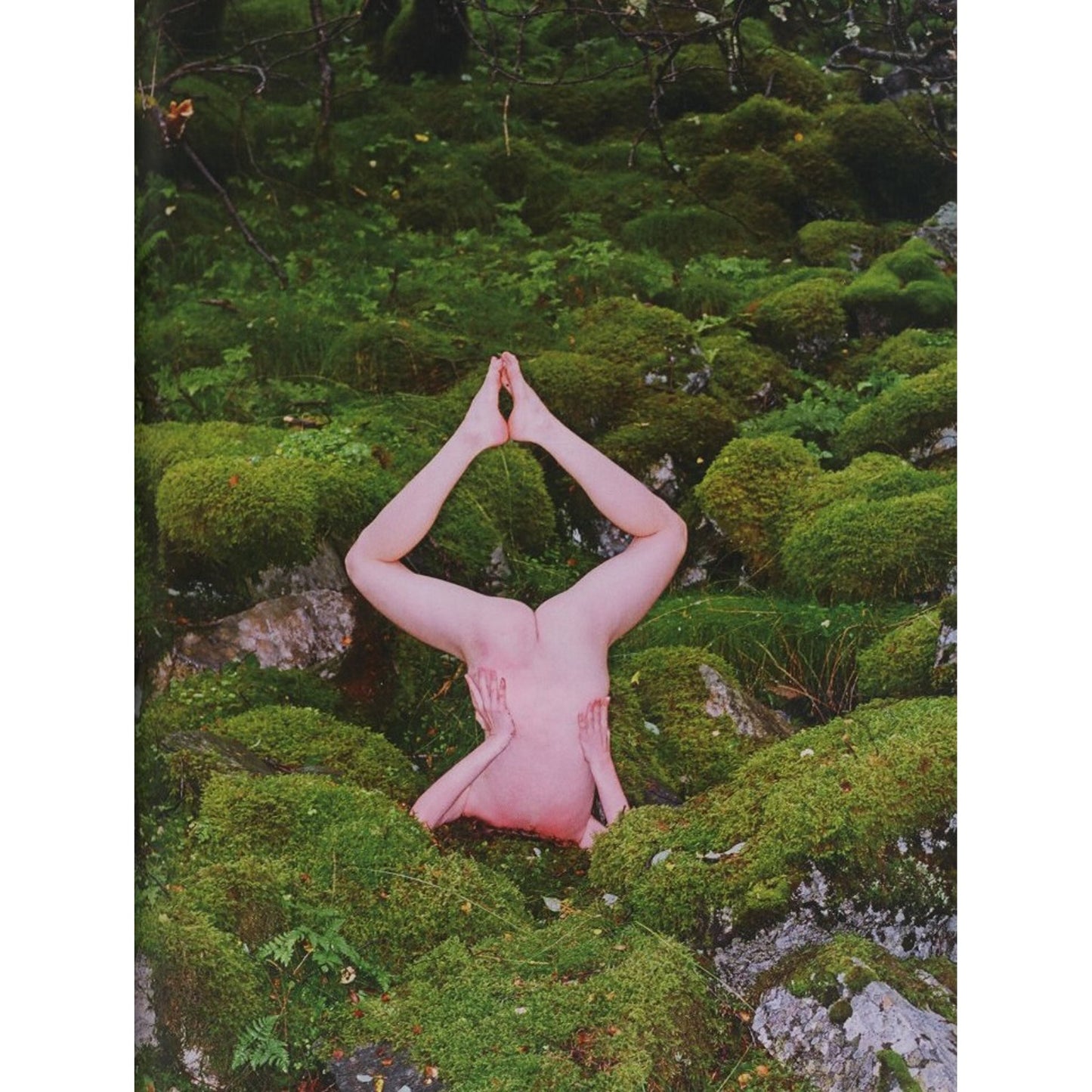 VICE MAGAZINE THE PHOTO ISSUE 2013: COLLABORATIONS