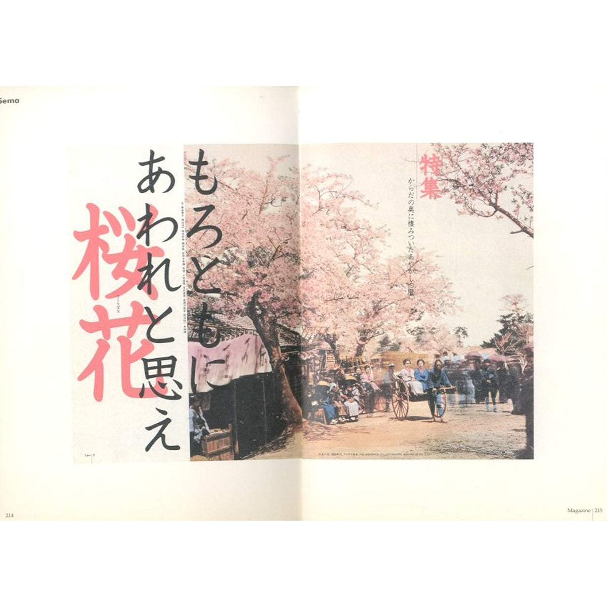 岡本一宣の東京デザイン