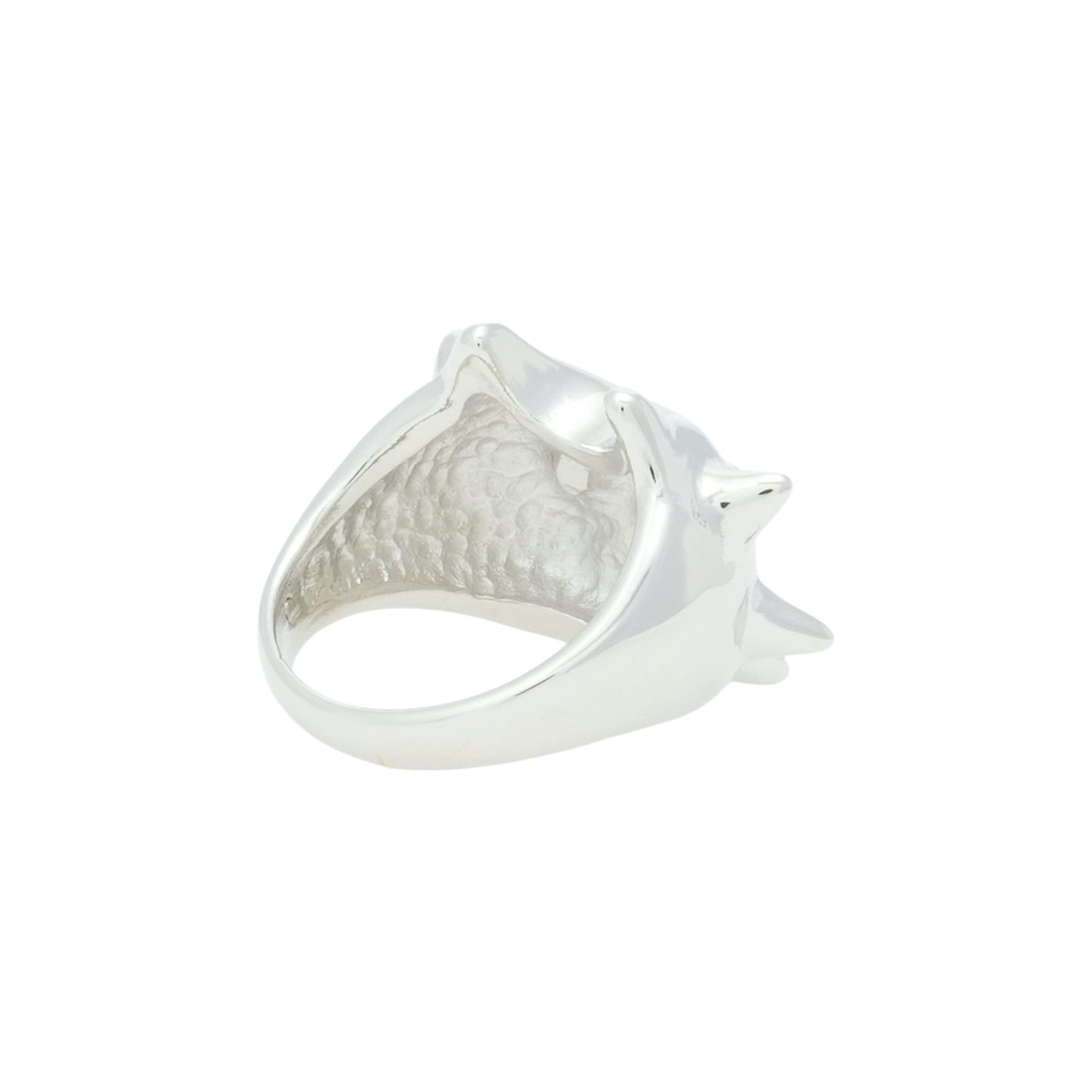 ASTRO RING / SILVER CLEAR