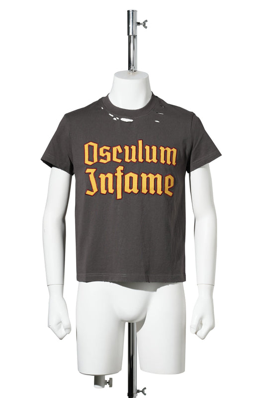 6669 SHRUNK TS / ASH GREY