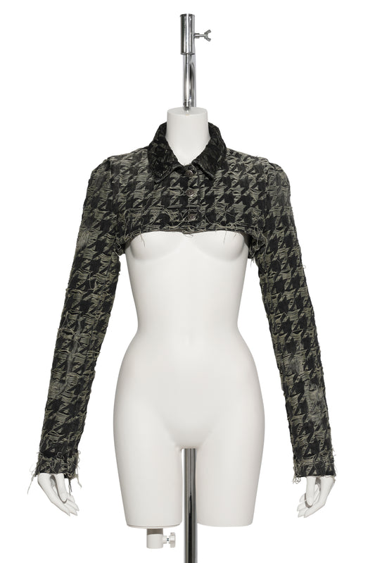 DE-ANSIS-FSH2-GIACCA / 02