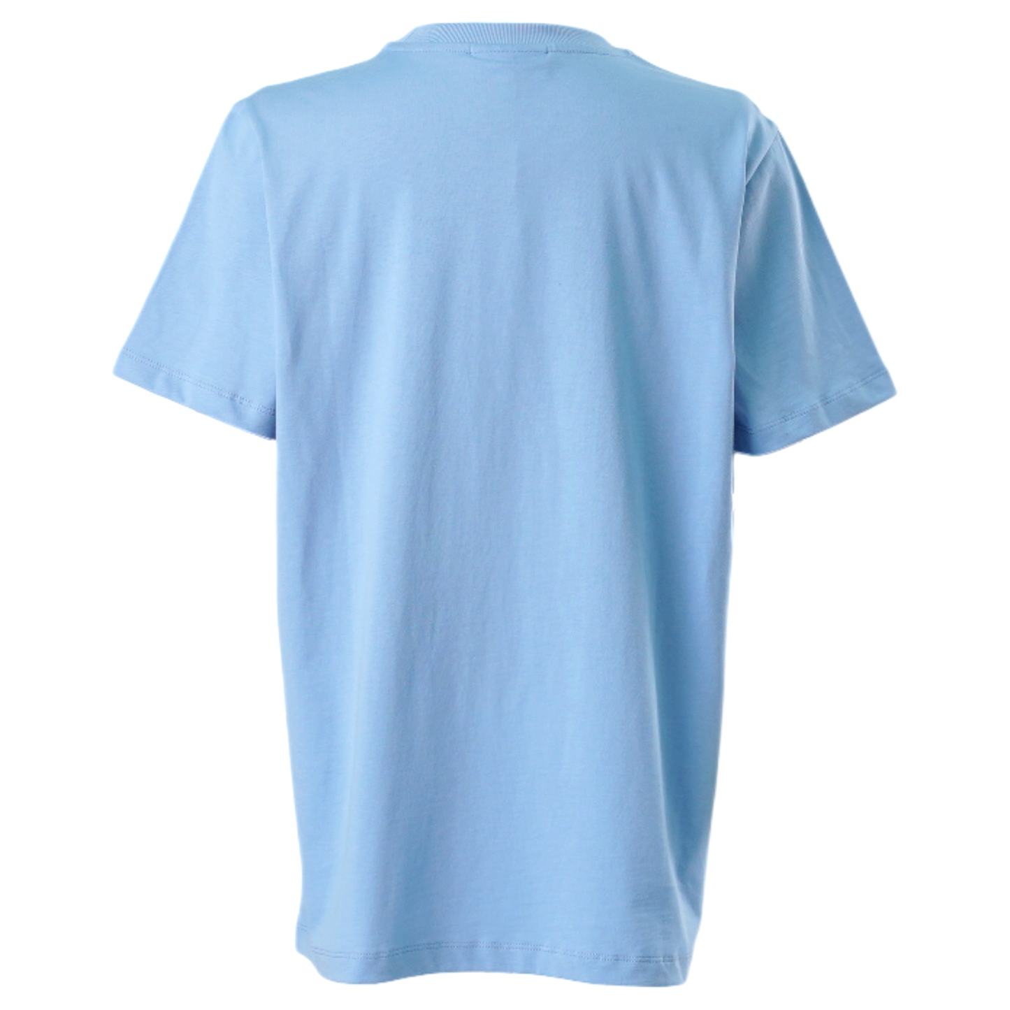 BASIC JERSEY TIGER RELAXED T-SHIRT / 745:BLISSFUL BLUE