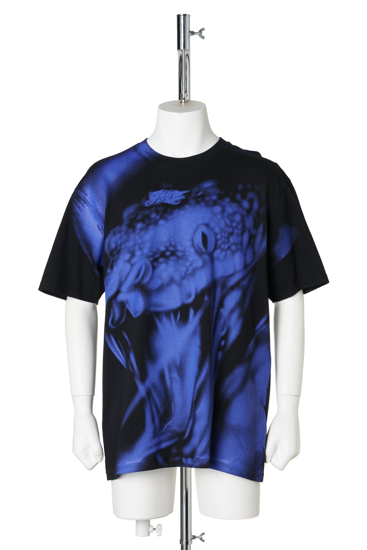 SCREENPRINTED TSHIRT / BLACK/BLIUE