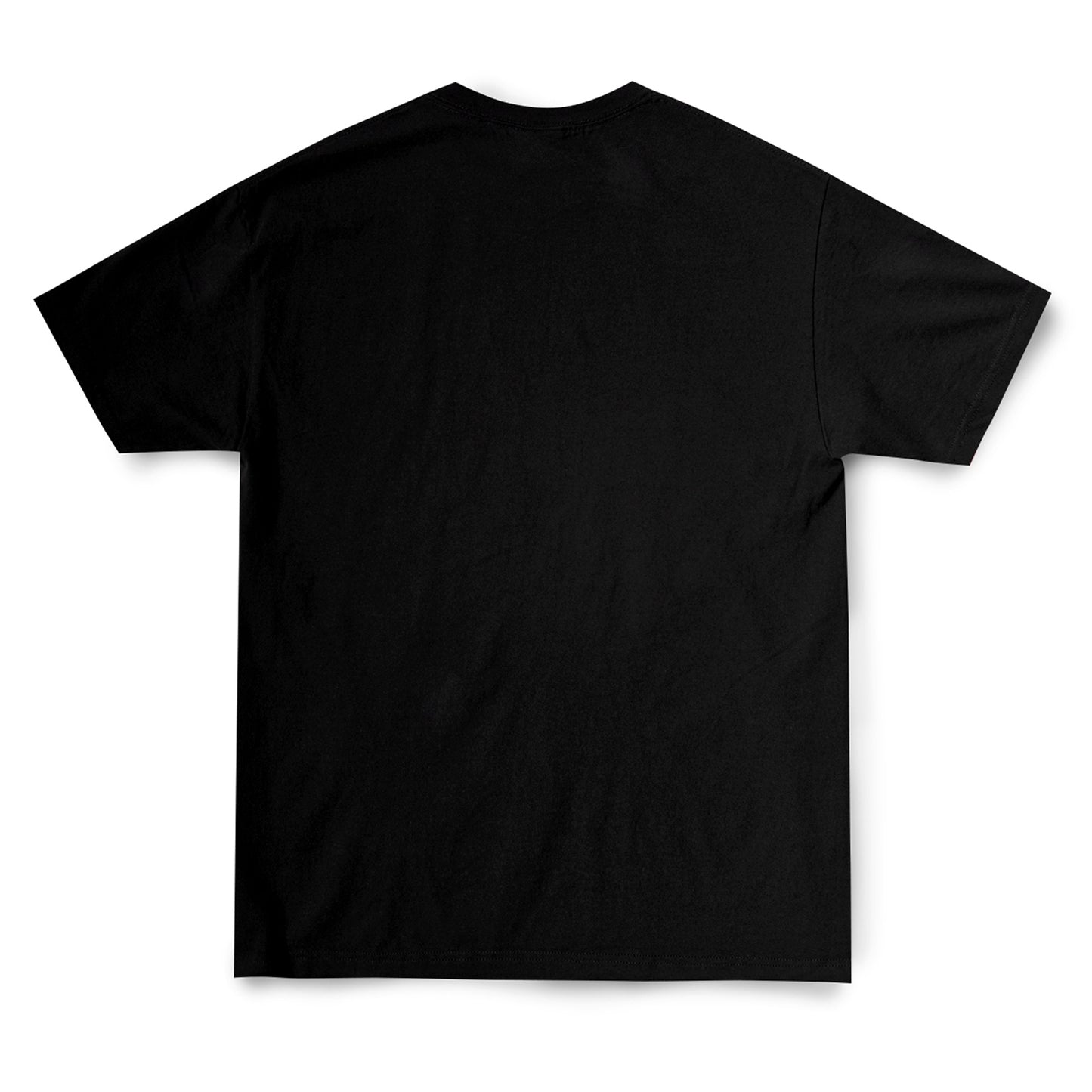HATSUNE MIKU x GEEKS RULE 15 SILKSCREEN PRINTING T SHIRT vol.02 / BLACK