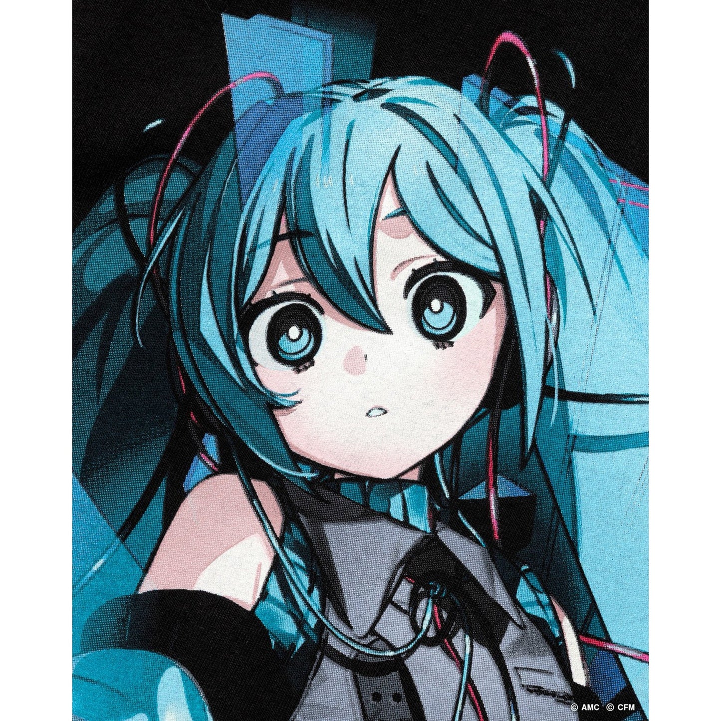 HATSUNE MIKU(Aiobahn ) × GEEKS RULE SILKSCREEN T-SHIRT / BLACK