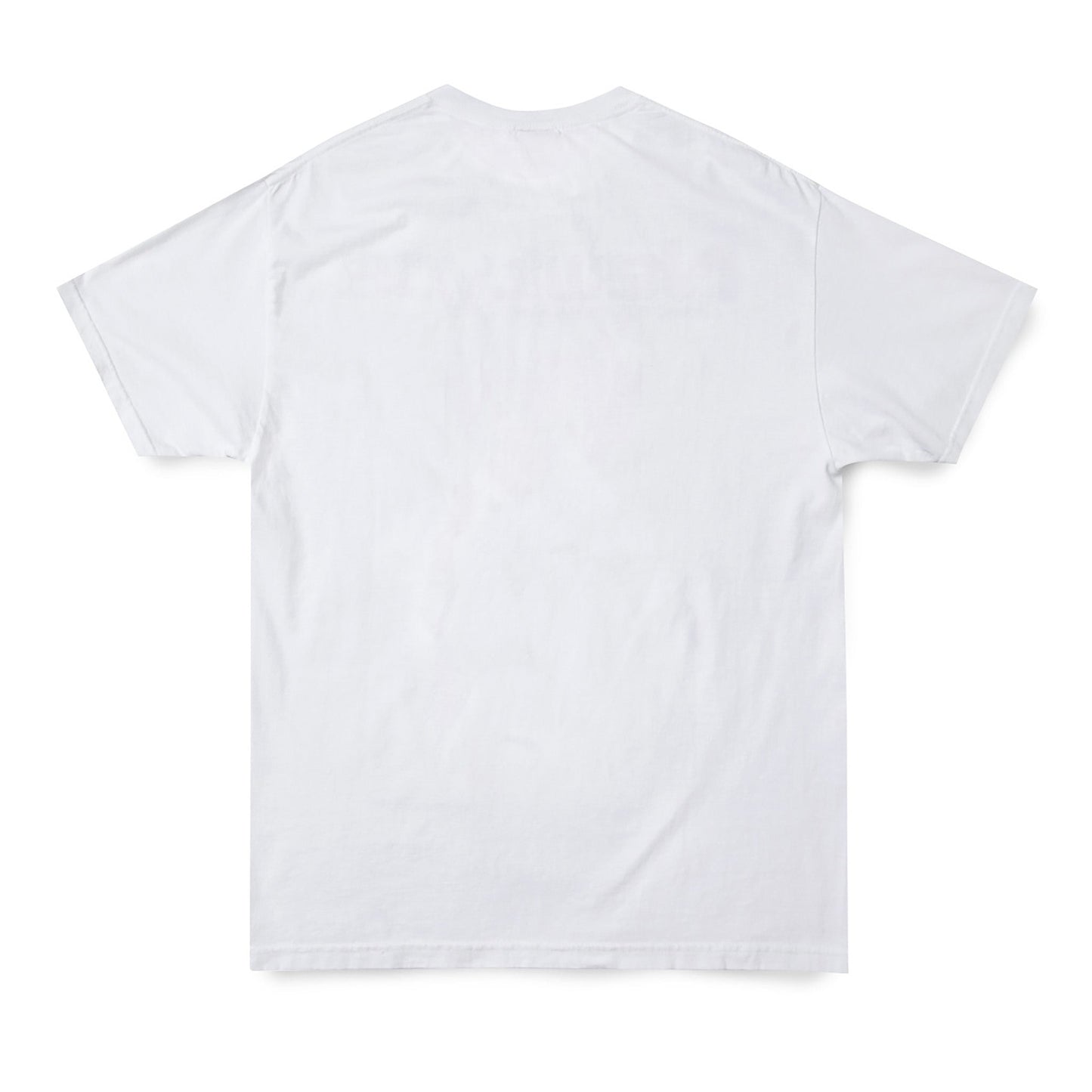 Newtype × 新世紀エヴァンゲリオン × GEEKS RULE 15 SILKSCREEN PRINTING T SHIRT / WHITE