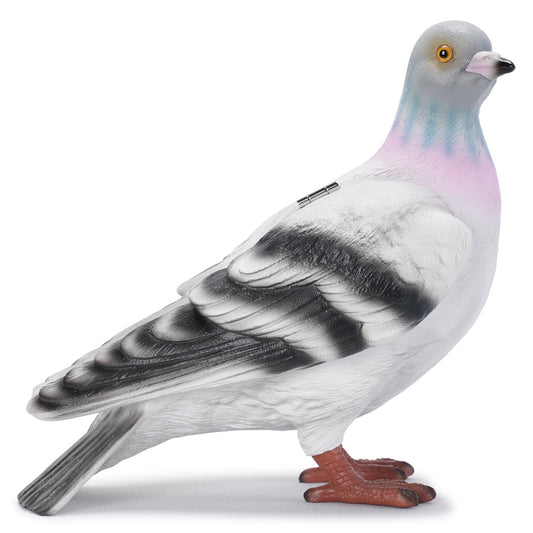 PIGEON CLUTCH / 929:GREY