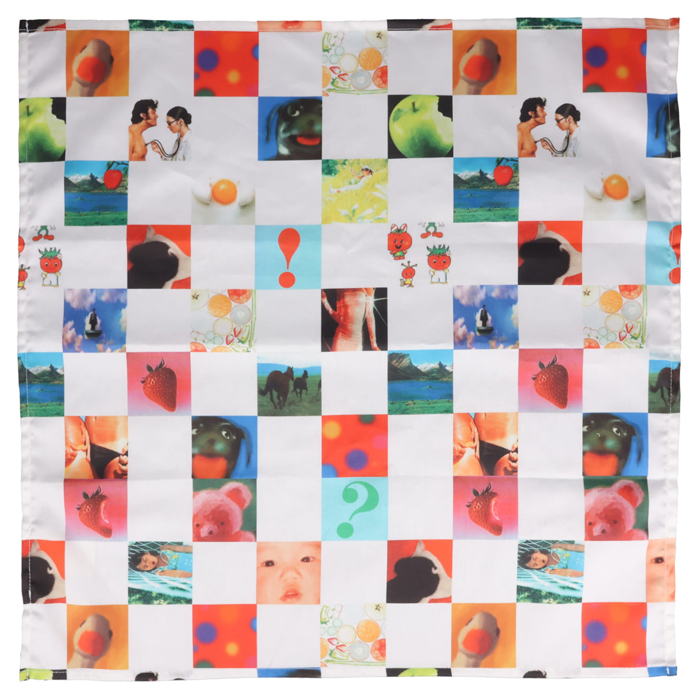 BANDANA / PHOTO CHECKER