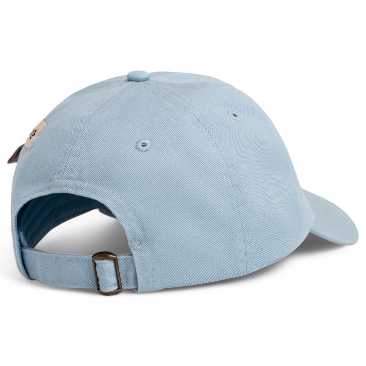 CAP / BLEU