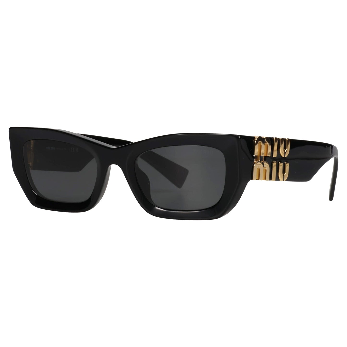 SUNGLASS / 1AB5S0