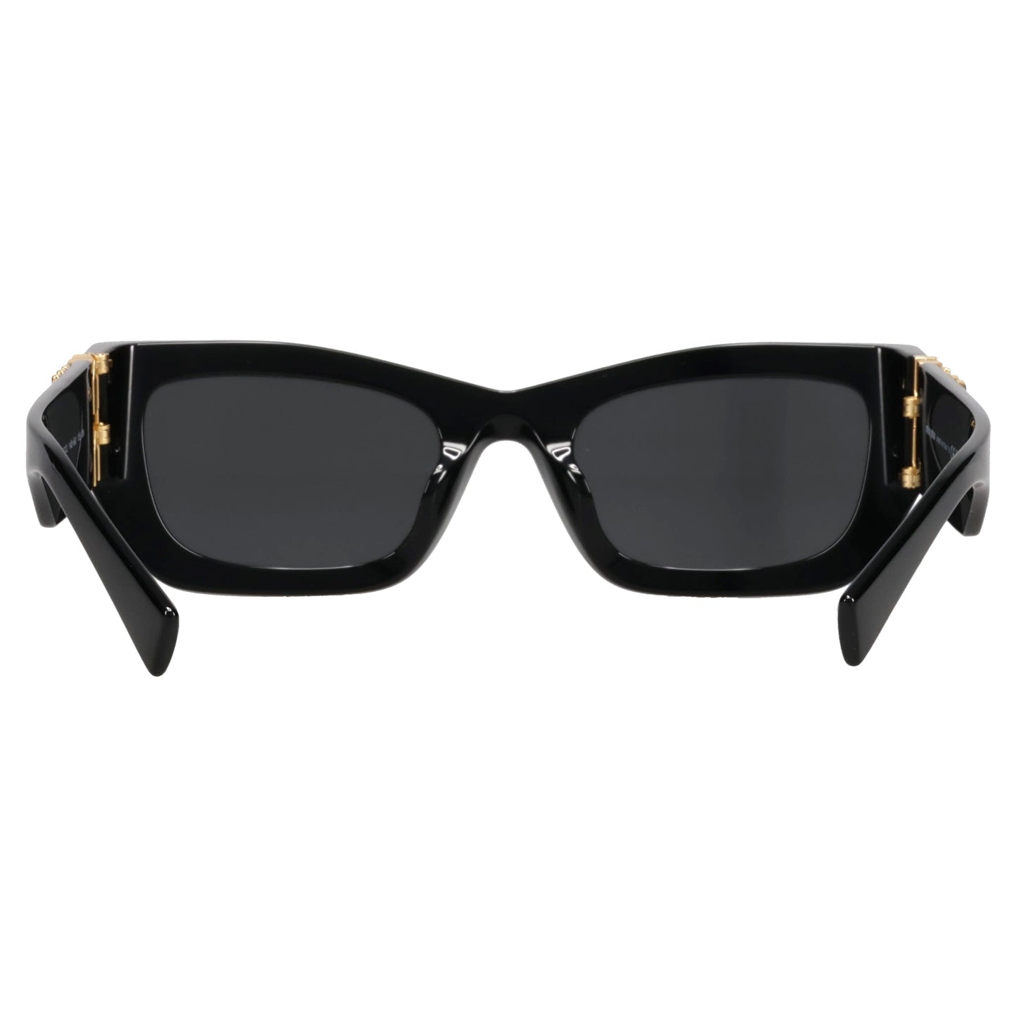 SUNGLASS / 1AB5S0