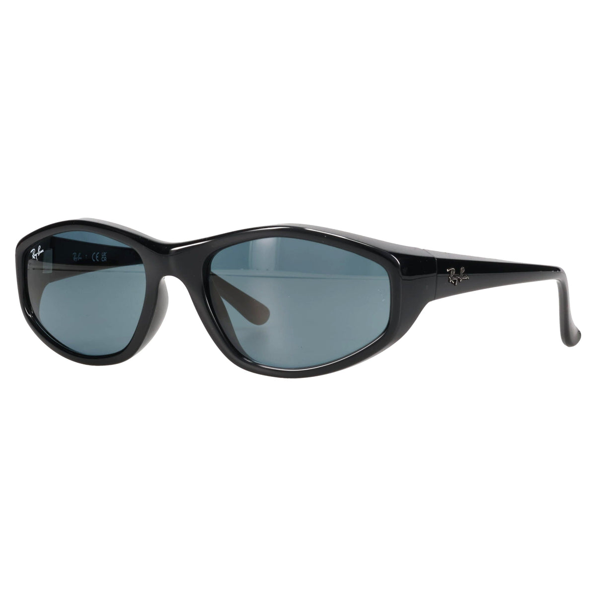 SUNGLASS / 601/R5