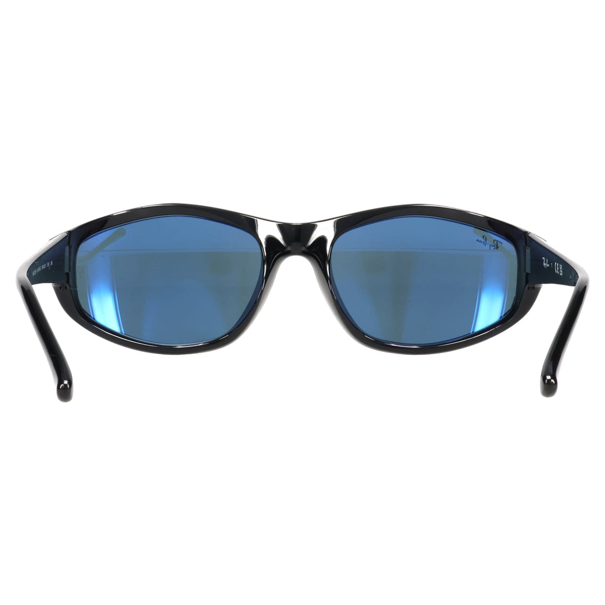 SUNGLASS / 601/R5