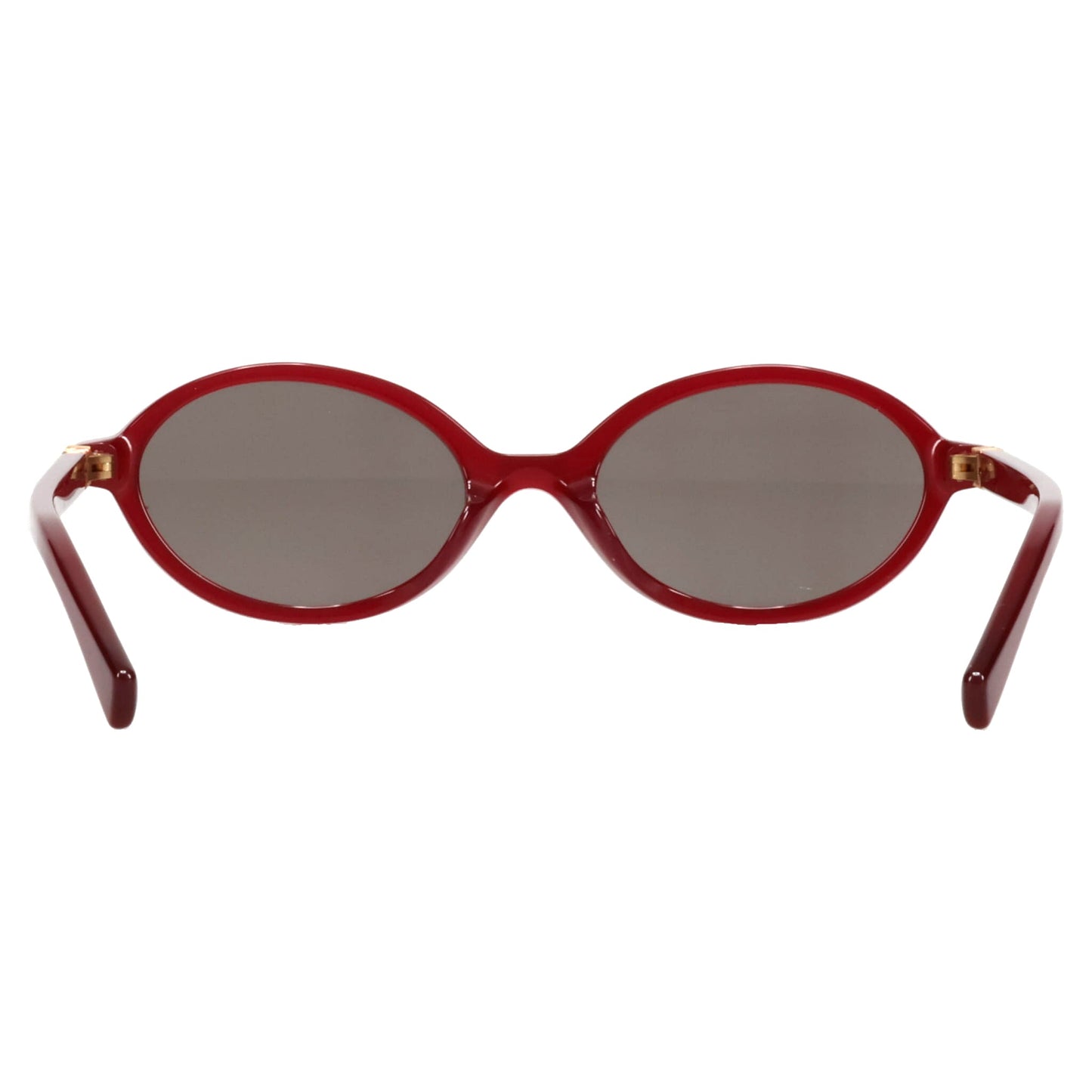 SUNGLASS / 21I80Q