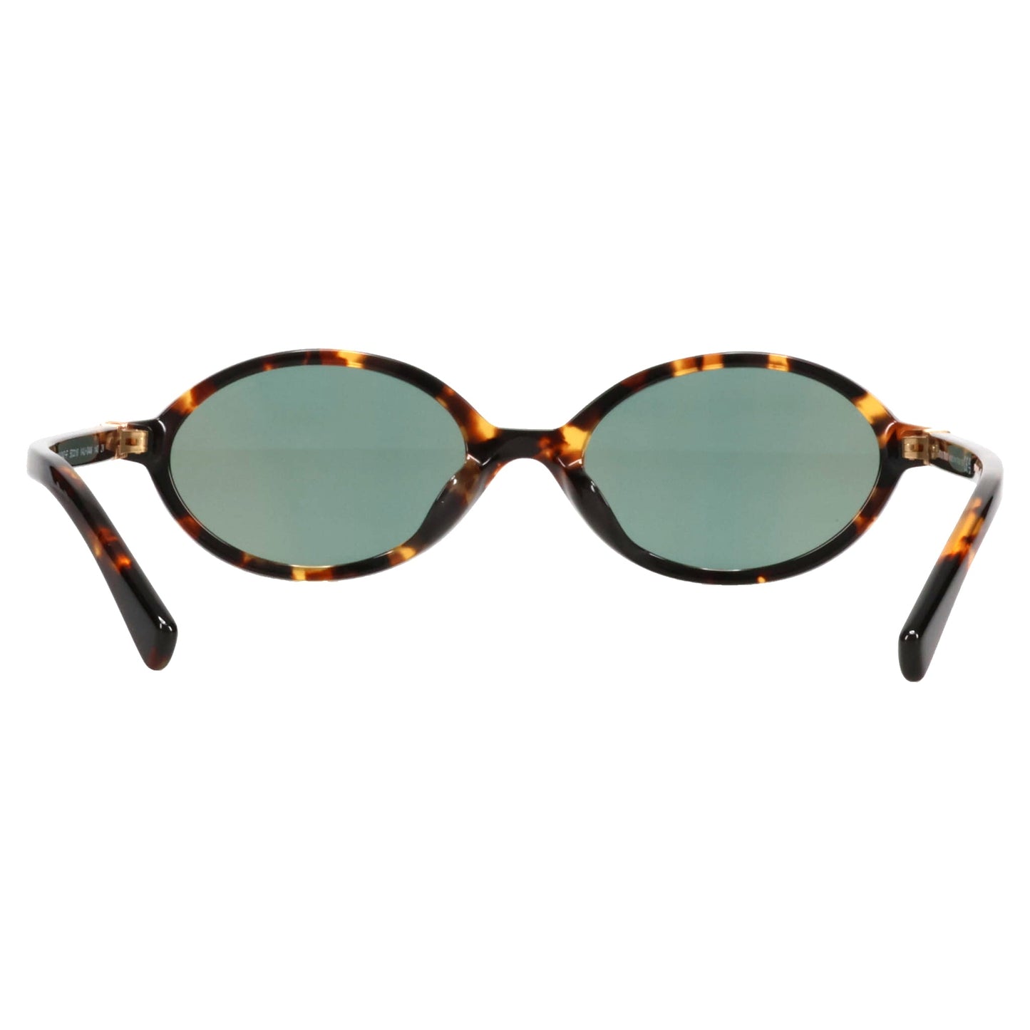 SUNGLASS / VAU04M