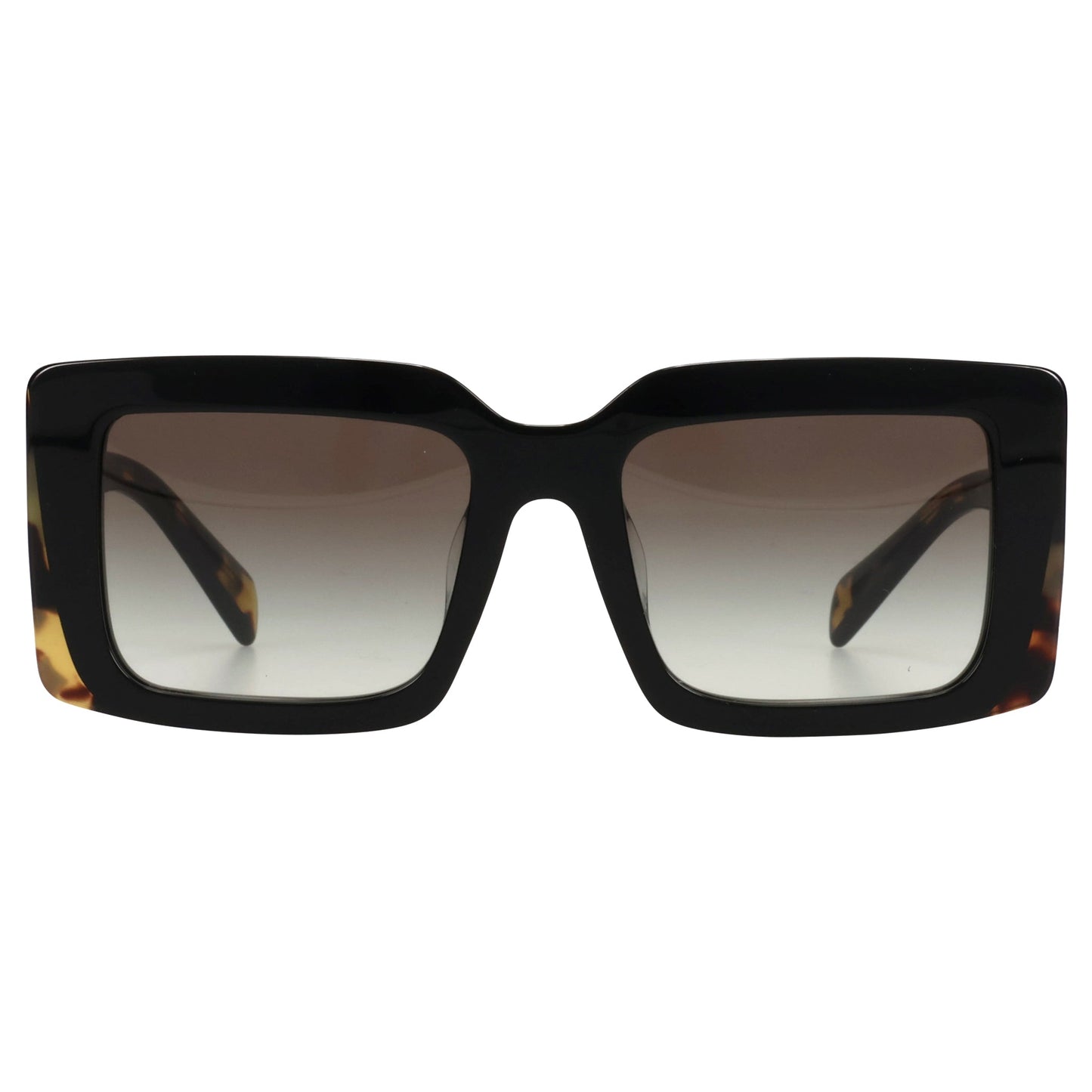 SUNGLASS / 0CD80L