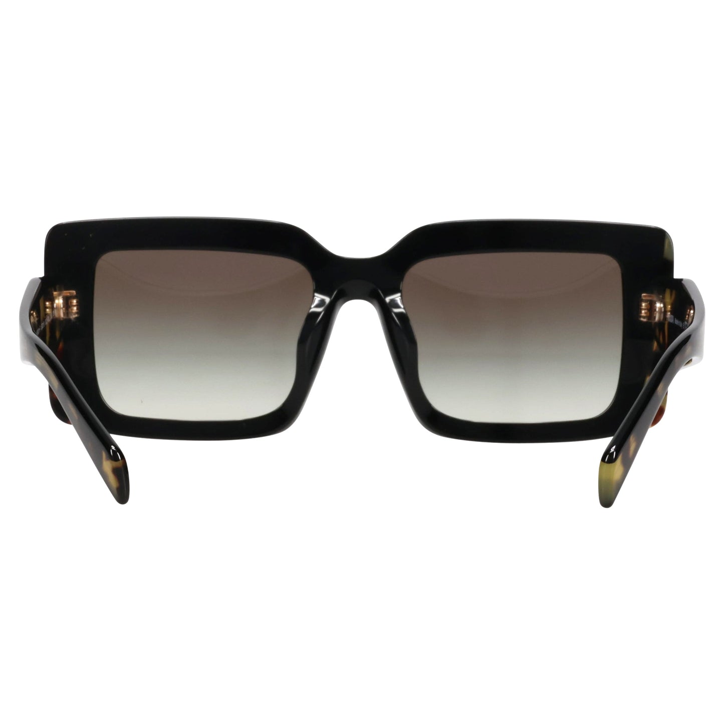 SUNGLASS / 0CD80L