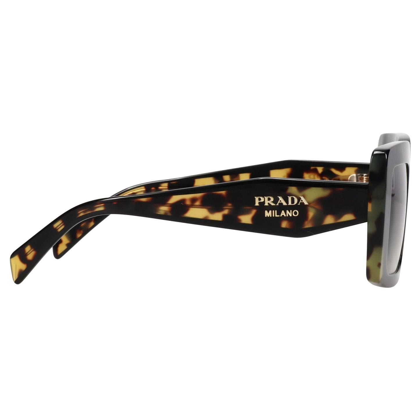 SUNGLASS / 0CD80L