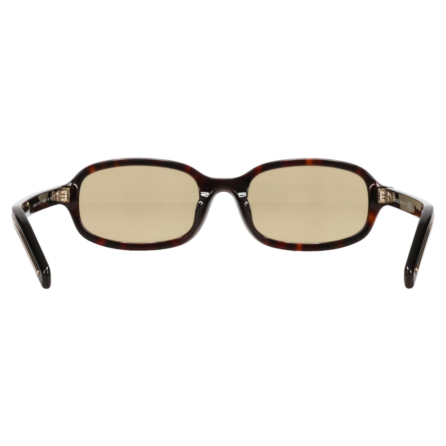 SUNGLASS / 17N70R