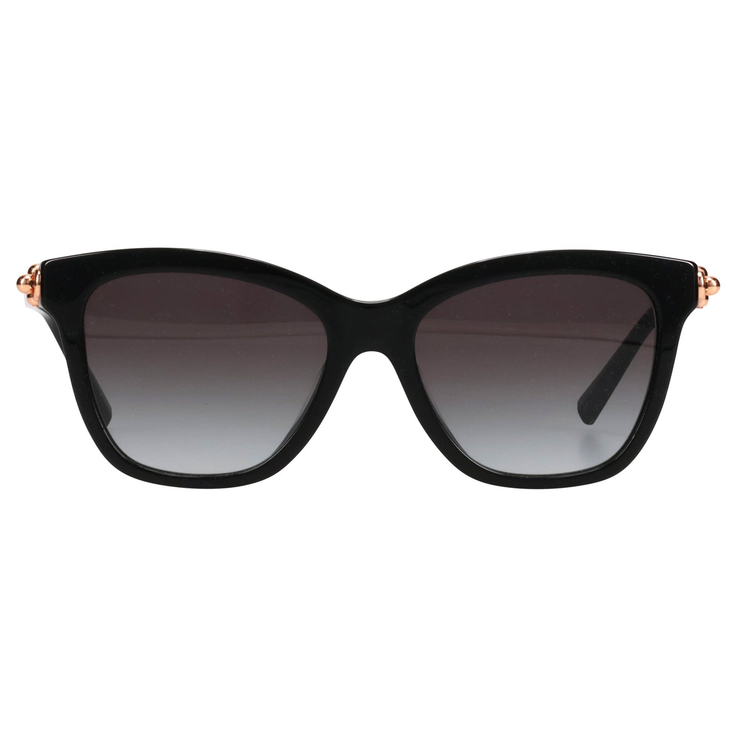 SUNGLASS / 80013C