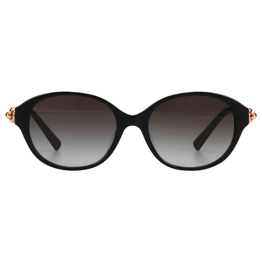 SUNGLASS / 80013C