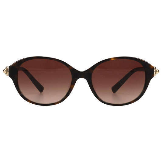 SUNGLASS / 81343B