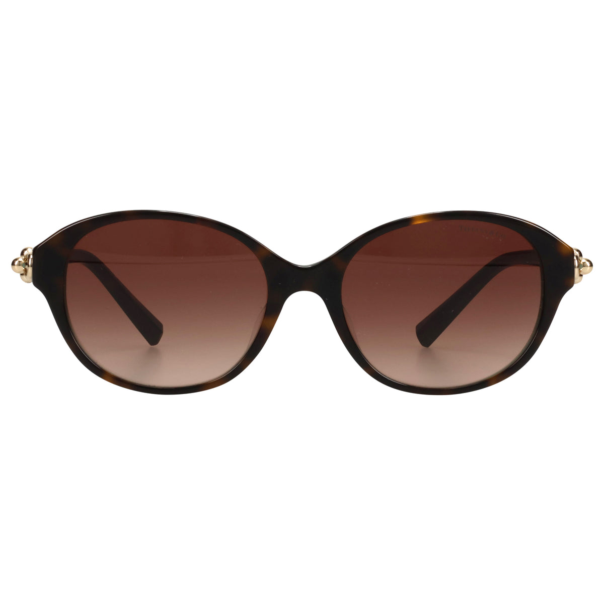 SUNGLASS / 81343B