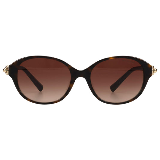 SUNGLASS / 81343B