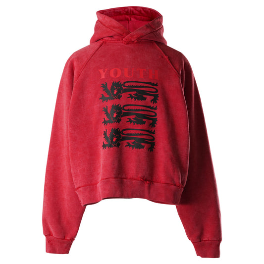 YOUTH HOODIE / WASHED RED