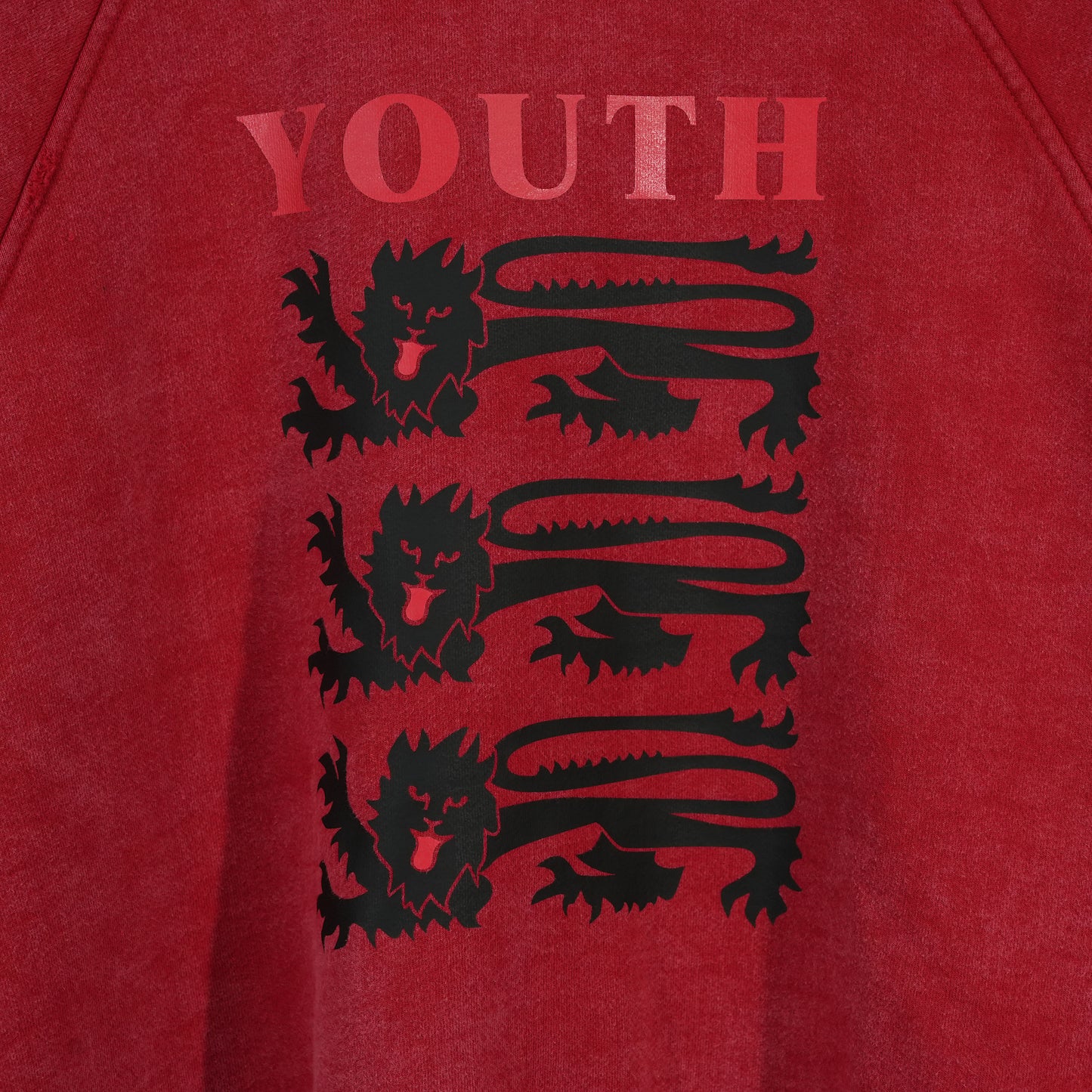 YOUTH HOODIE / WASHED RED