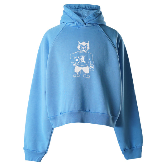 VARSITY HOODIE / WASHED BLUE