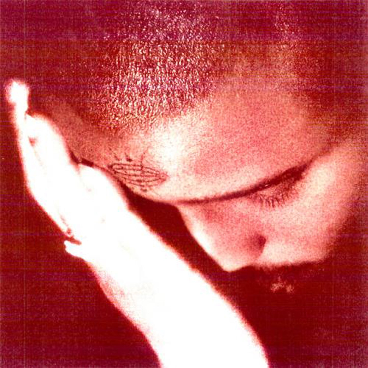 Nourished By Time - The Passionate Ones [LP]