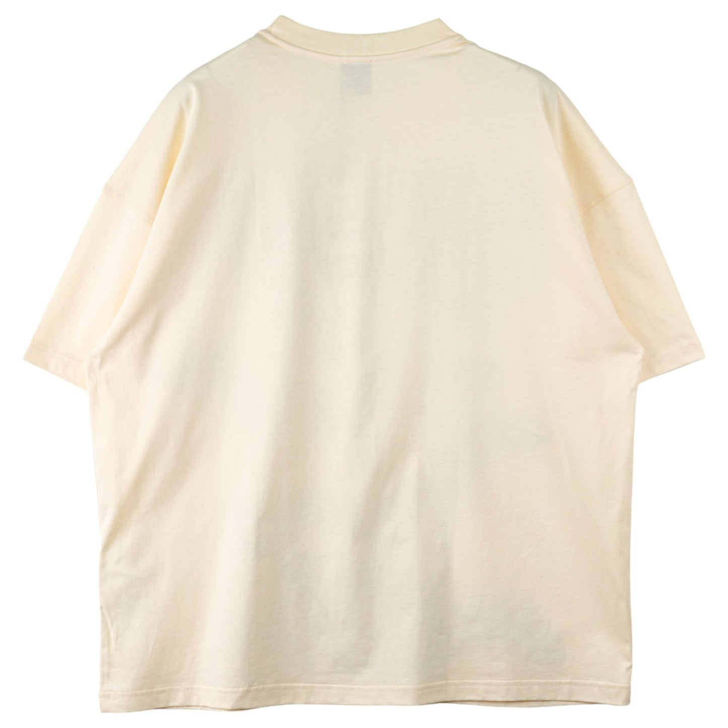 BOXY EMBROIDERED TEE SHIRT / CREME/GREEN