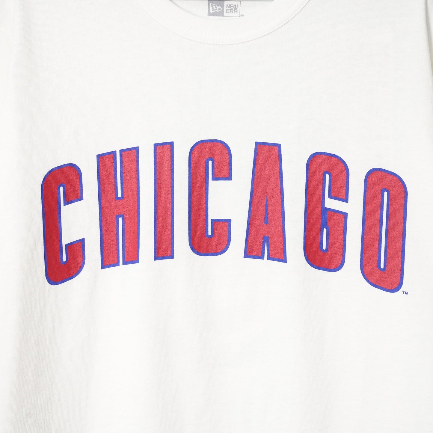 SS TEE CHICUB OWHT GR8 / WHITE