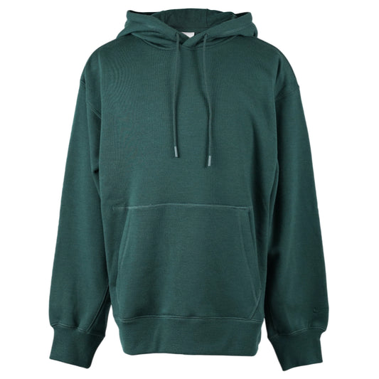 AS U NK WOOL CLASSICS HOODIE / 397:PRO GREEN