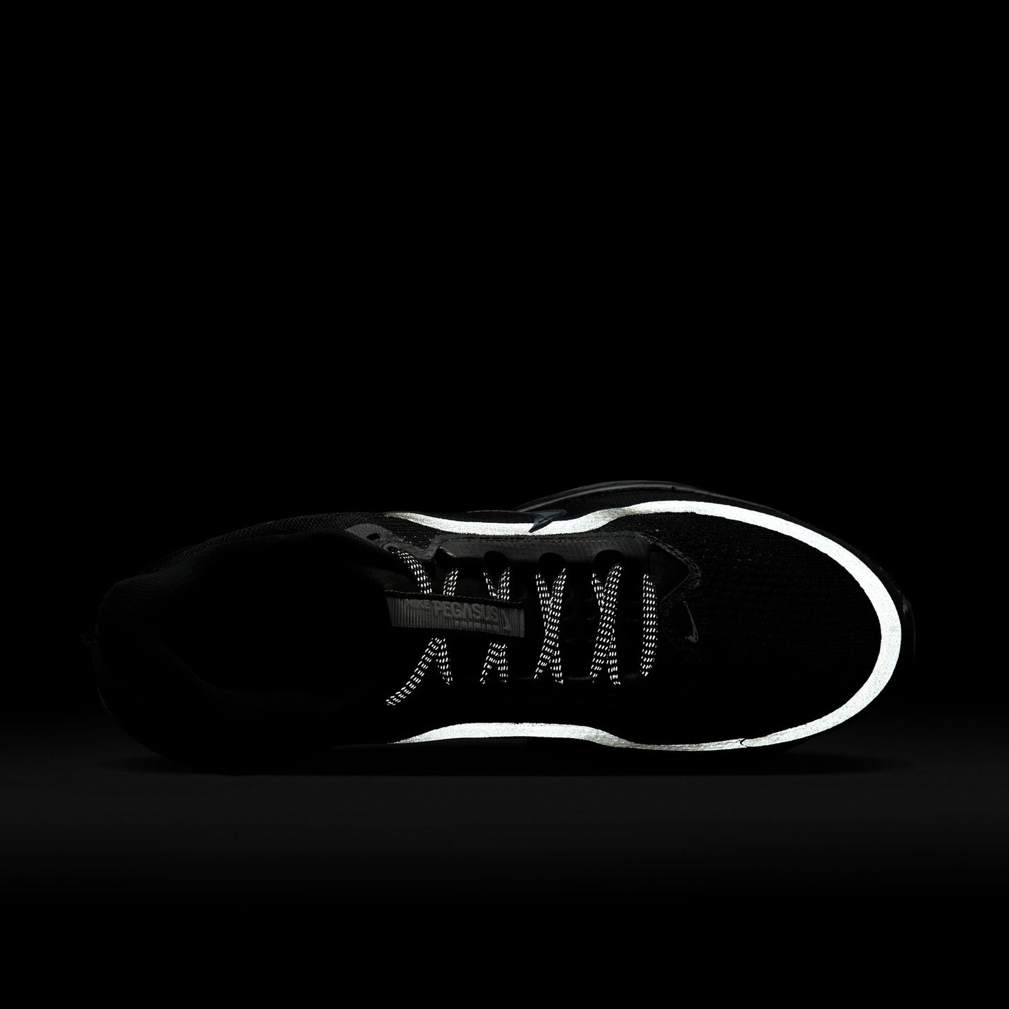 NIKE PEGASUS PREMIUM / 005:BLACK/BLACK-METALLIC SILVER