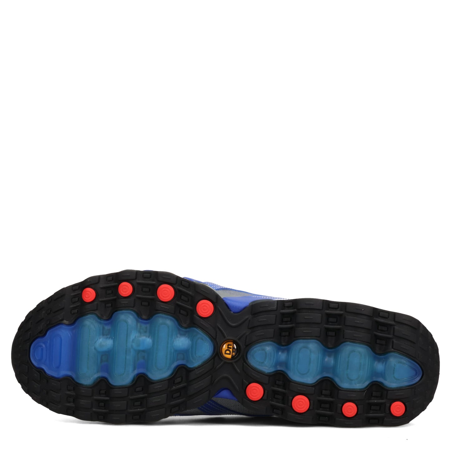 NIKE x Patta AIR MAX DN8 SP / 400:GAME ROYAL/LIGHT CHARCOAL