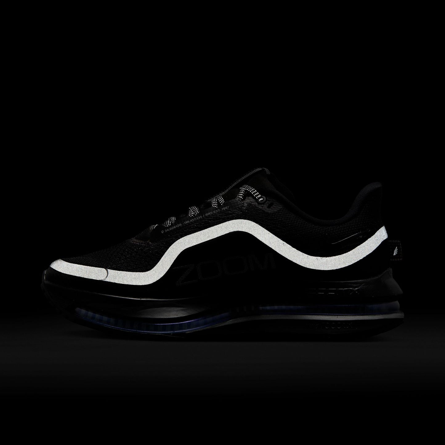 W NIKE PEGASUS PREMIUM / 004:BLACK/BLACK-METALLIC SILVER