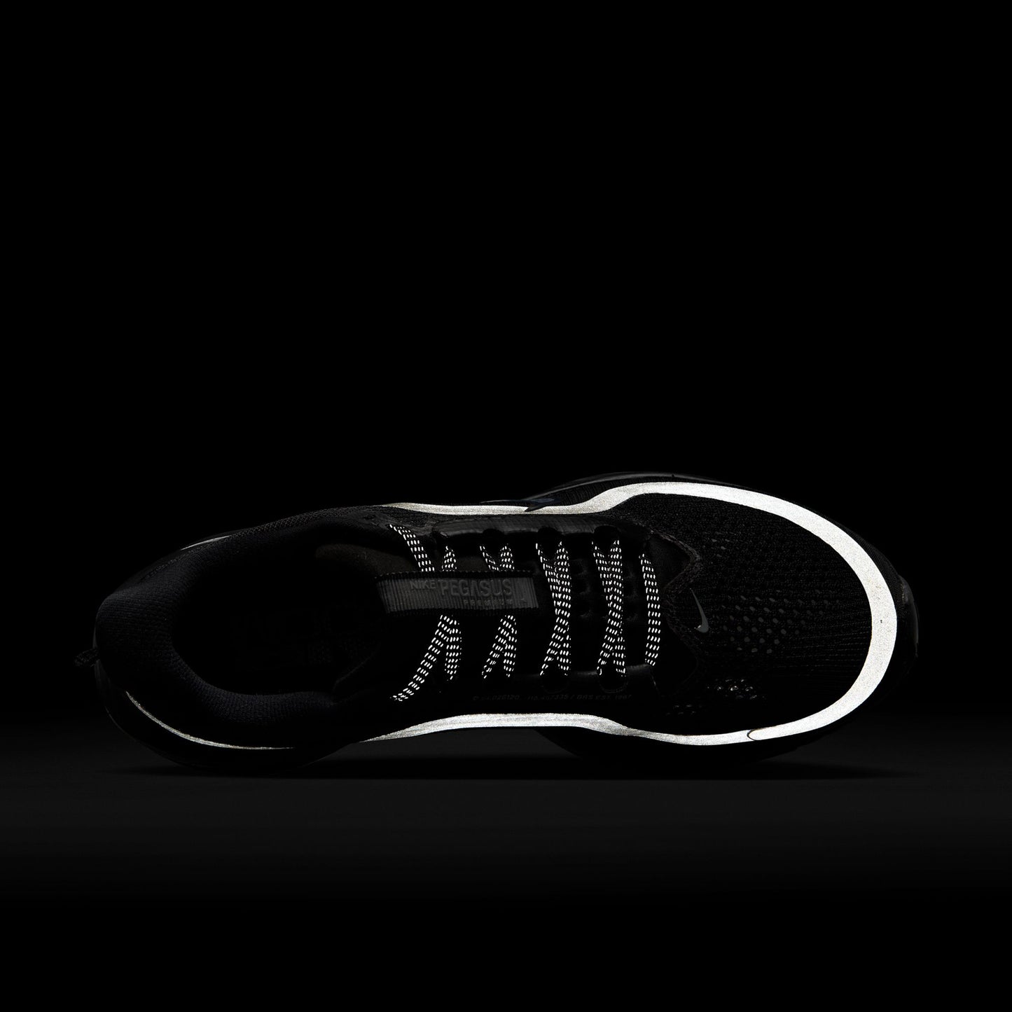 W NIKE PEGASUS PREMIUM / 004:BLACK/BLACK-METALLIC SILVER