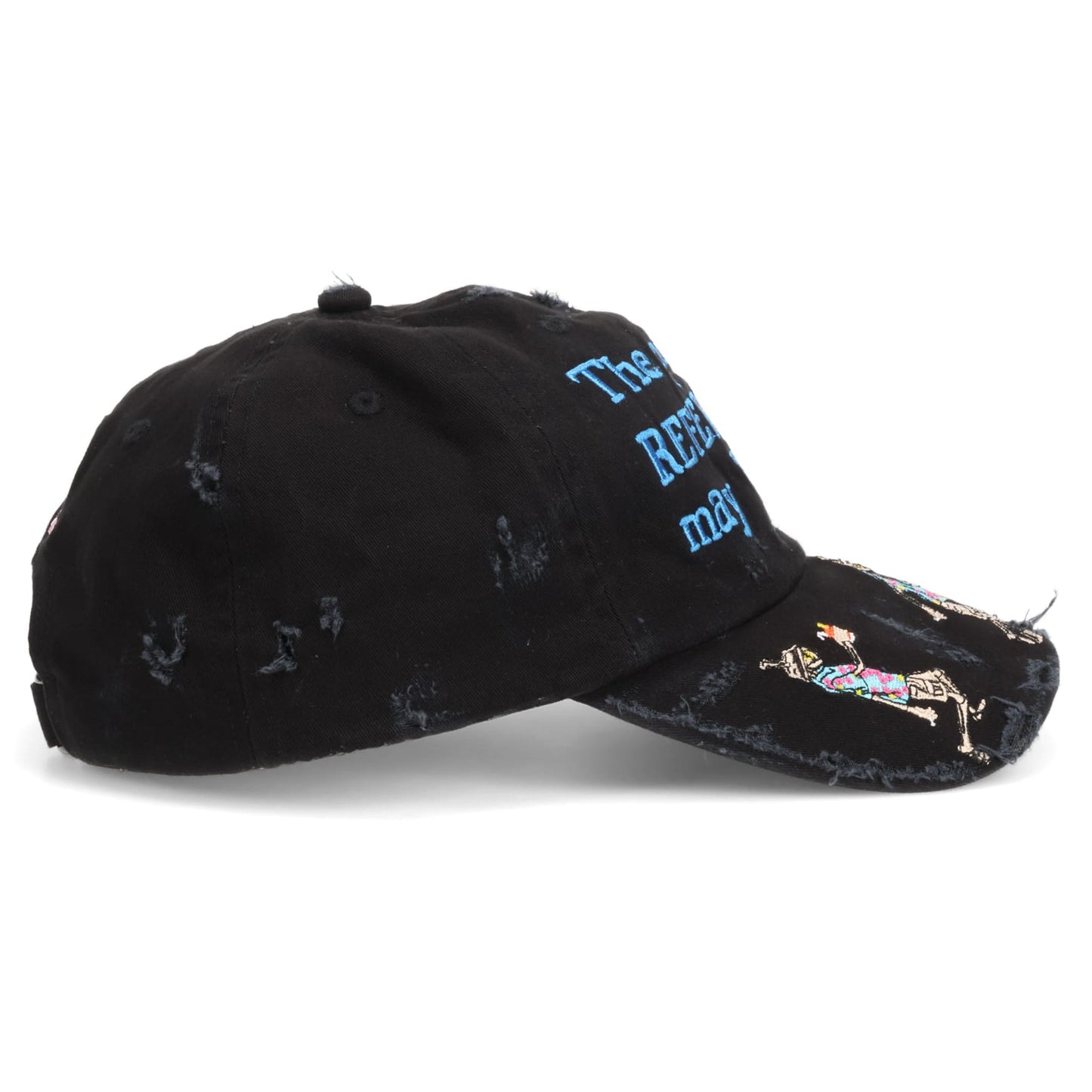 THE POINT OF REFERENCE MAY VARY DADDY BASEBALL HAT / BLACK