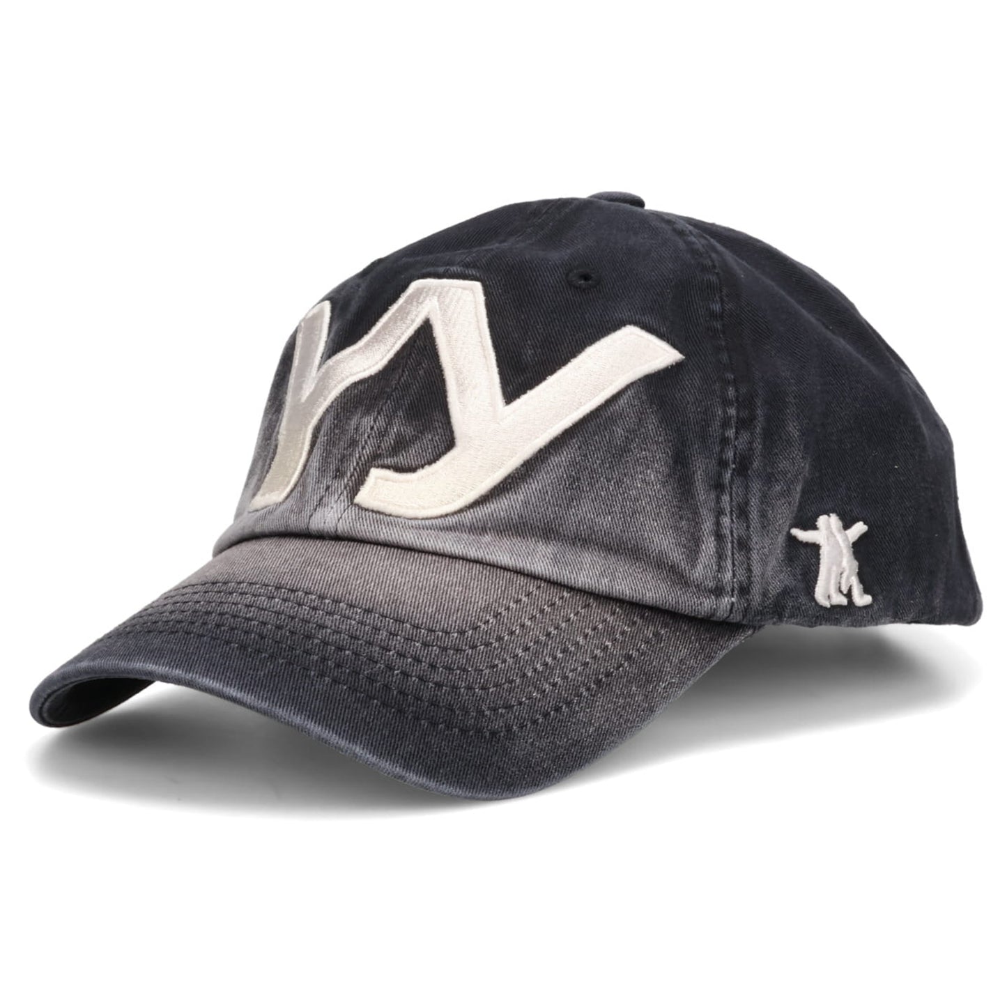 YY GRADIENT BALL CAP / BLACK